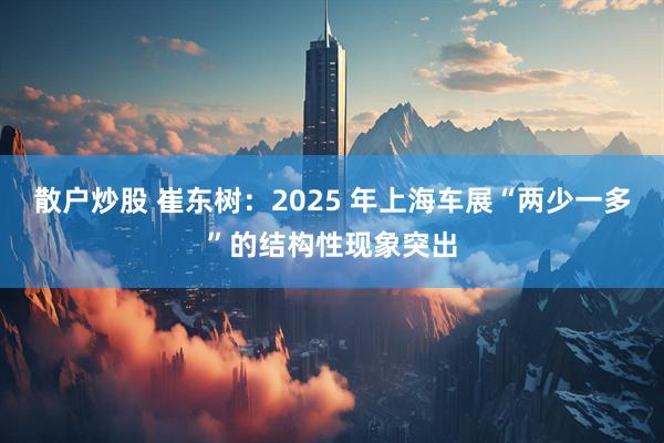散户炒股 崔东树：2025 年上海车展“两少一多”的结构性现象突出